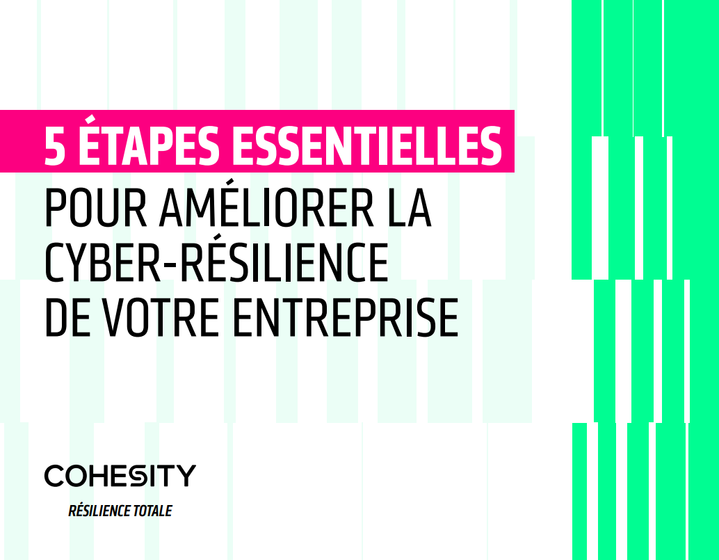 Miniature eBook 5 étapes