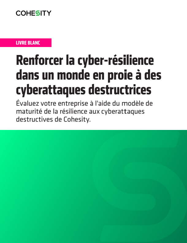 Miniature Whitepaper Renforcer la résilience